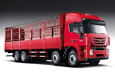 شاحنة نقل بضائع، 8×4 Euro IV Cargo Truck (Kingkan)